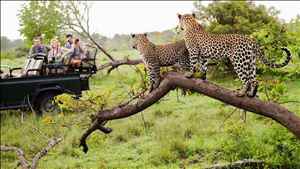 Book the best Safari Vacation Packages for your family