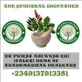 The best powerful spiritual herbalist in Nigeria 2349137913351