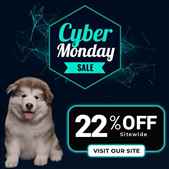 Cyber Monday Sale Save 22 on All Pet Products