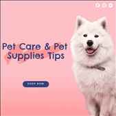 Pet Care and Pet Supplies Tips Bestvetcare