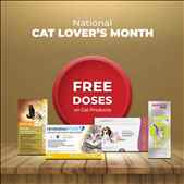 Free doses in a cat lovers month offer Free Shipping