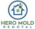 Hero Mold Removal - Lynchburg
