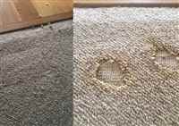 Carpet-Repairs