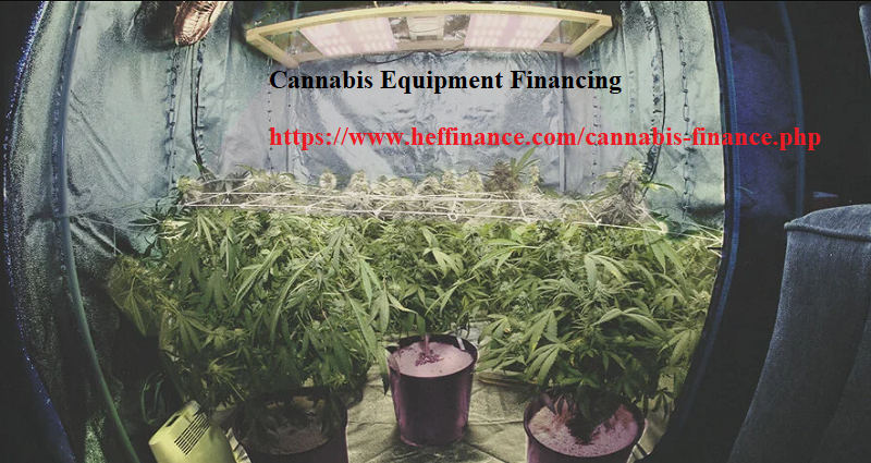 Cannabis Equipment Financing Loan