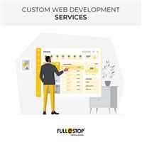 Custom Web Development Services in India and US