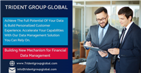 Financial Data Management & Analysis  Services Ad