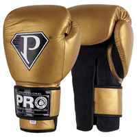 Pro boxing Equipment