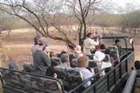Ranthambore Canter Safari