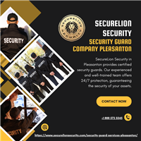 SecureLion Security