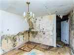 Water Damage Experts of Family City