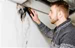 Frampton Place Mold Removal Experts